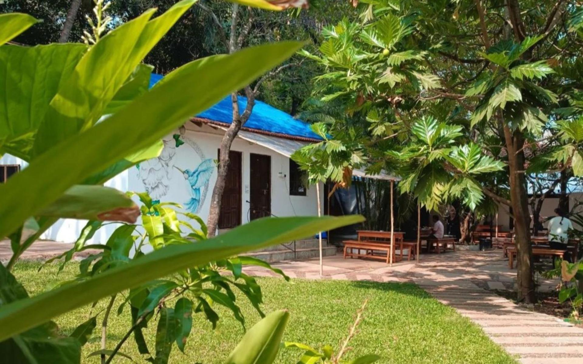 The Funky Monkey Hostel Anjuna Luaran gambar